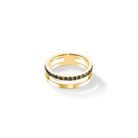 Eternal Unity Ring gold-black